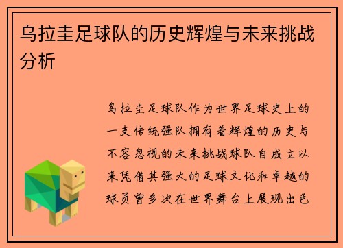 乌拉圭足球队的历史辉煌与未来挑战分析