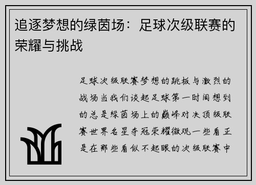 追逐梦想的绿茵场：足球次级联赛的荣耀与挑战
